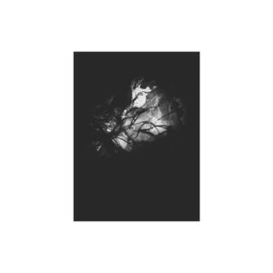Electrography Seaweed Unframed Prints - Image 31