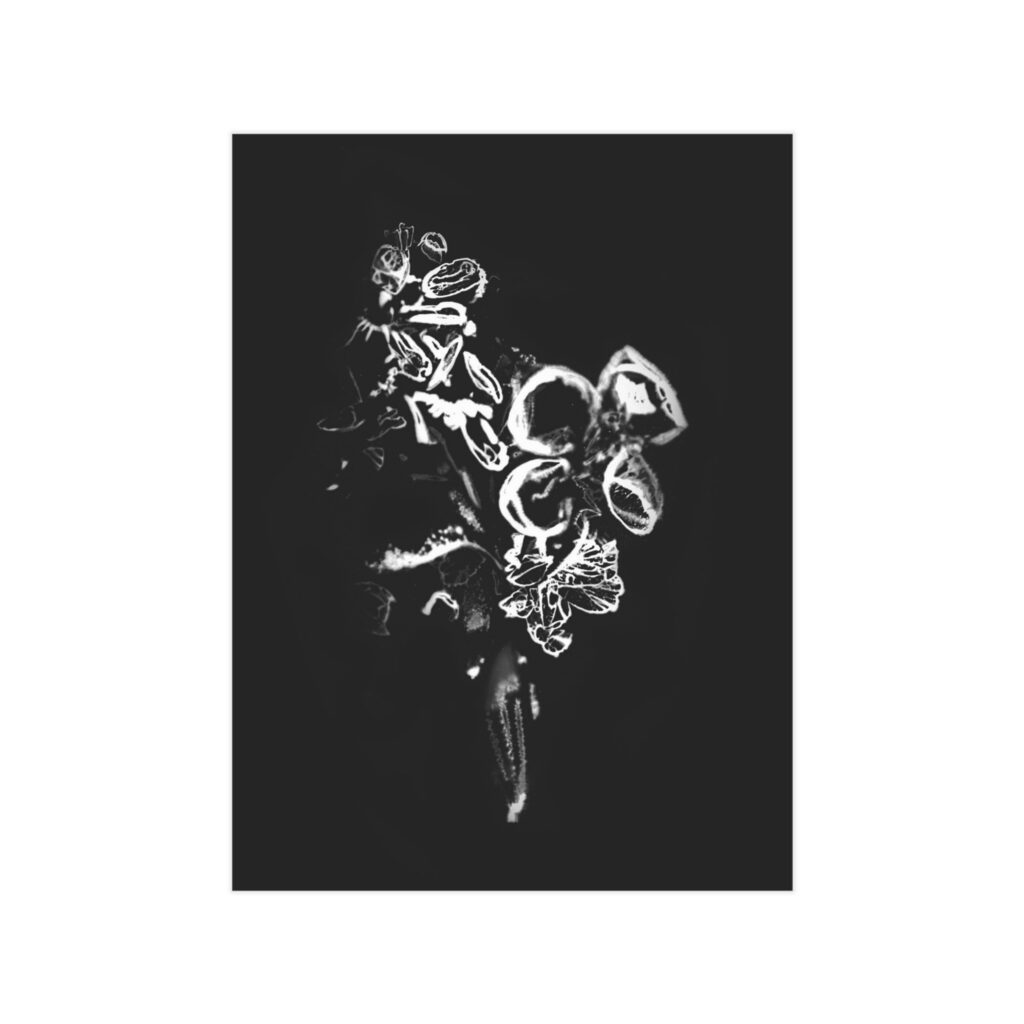 Electrography Flowers Unframed Prints