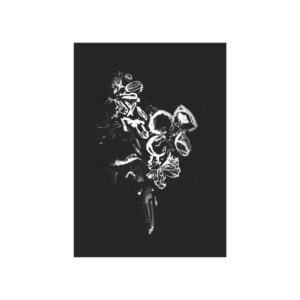Electrography Flowers Unframed Prints - Image 13