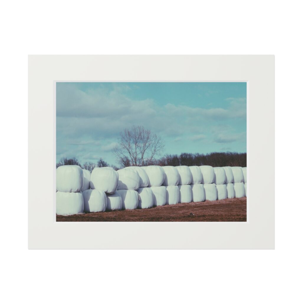 Arranged Image 05