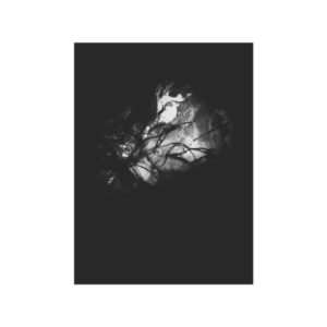 Electrography Seaweed Unframed Prints - Image 4