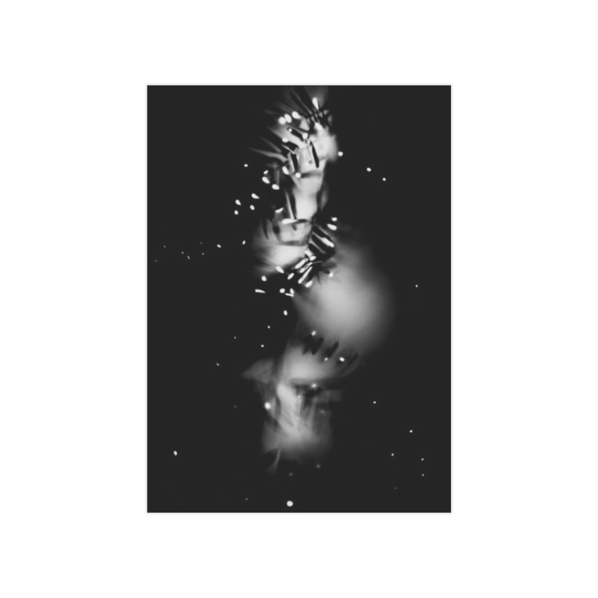 Electrography Pine Needles Unframed Prints