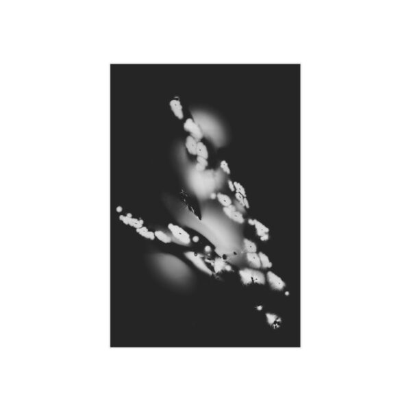 Electrography Asaparagus Unframed Prints - Image 28