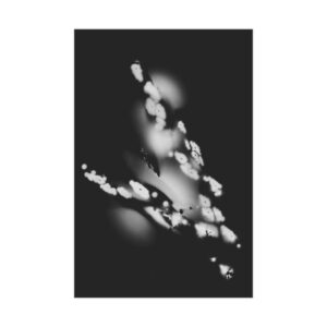 Electrography Asaparagus Unframed Prints - Image 10