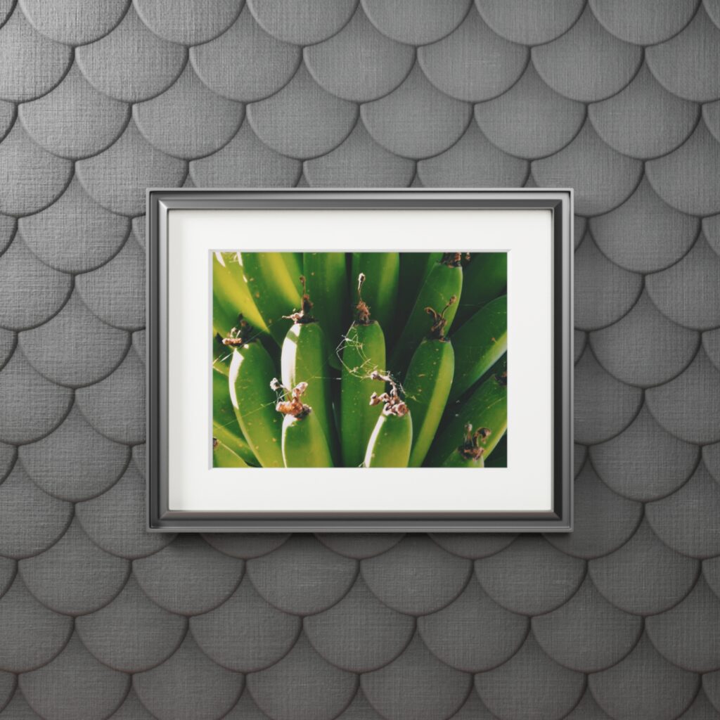 Arranged Image 08