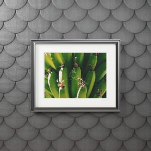 Arranged Image 08 - Image 3