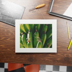 Arranged Image 08 - Image 4