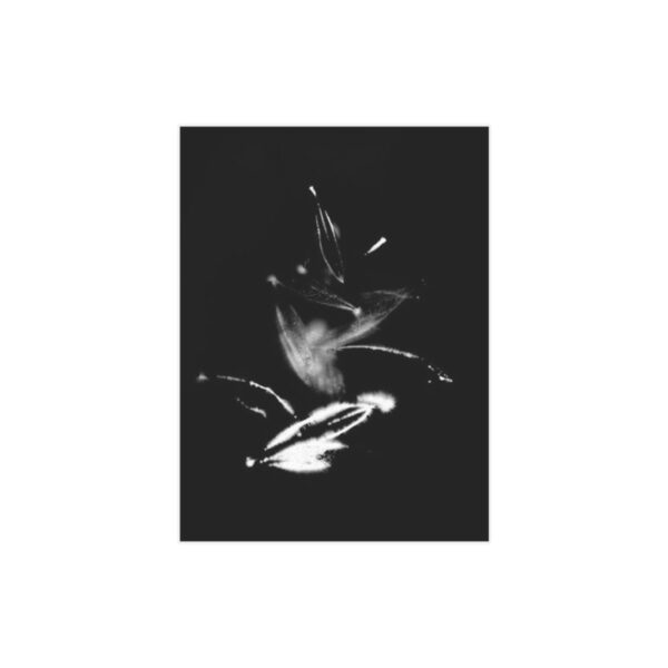 Electrography Olivio Unframed Prints - Image 25