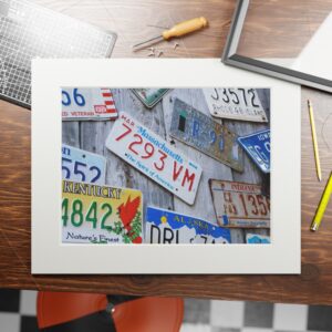 Arranged Image 03 - Image 8
