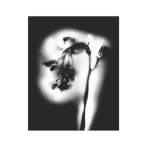 Electrography Bluebells Unframed Prints - Image 7
