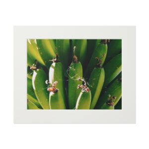 Arranged Image 08 - Image 5