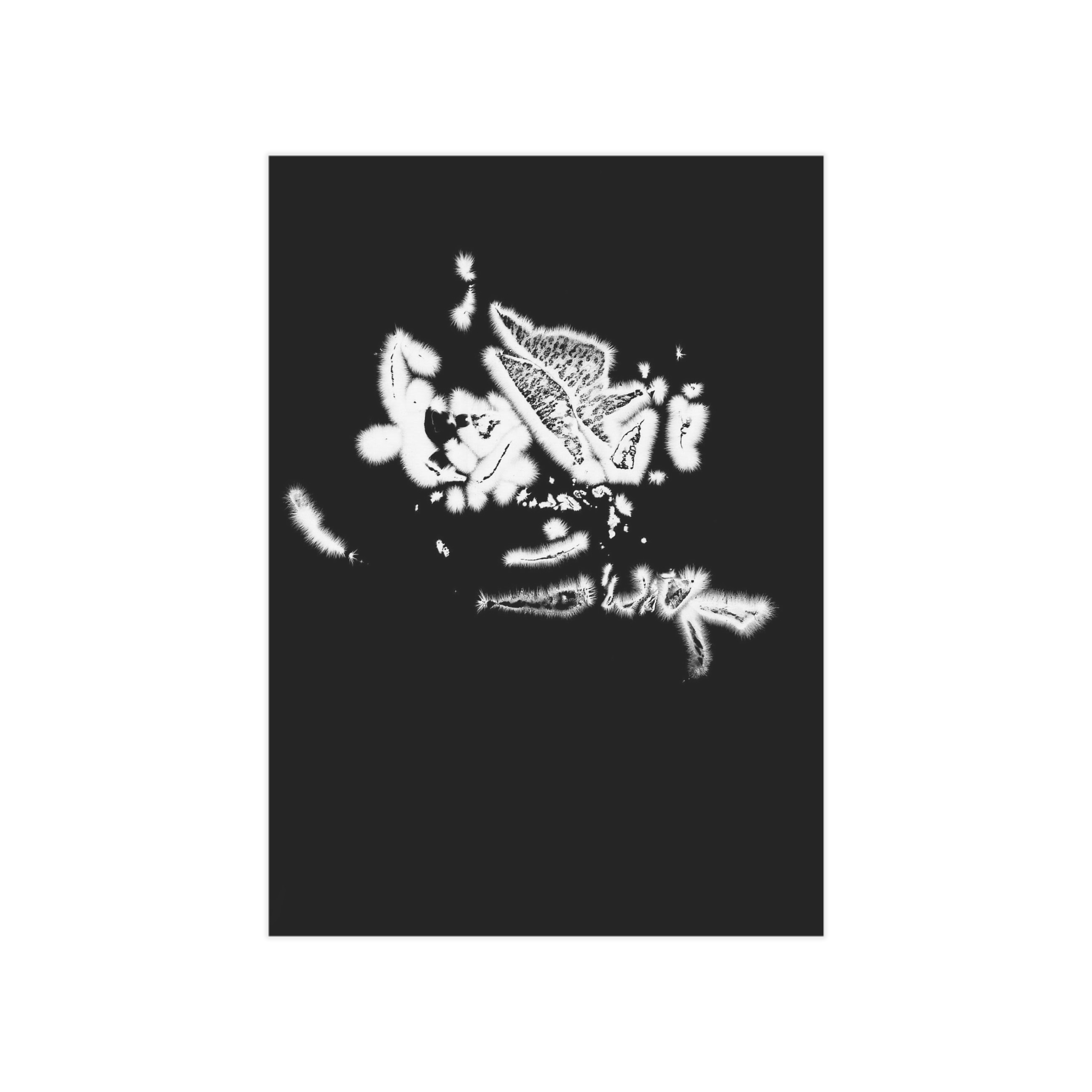 Electrography Rose Unframed Prints