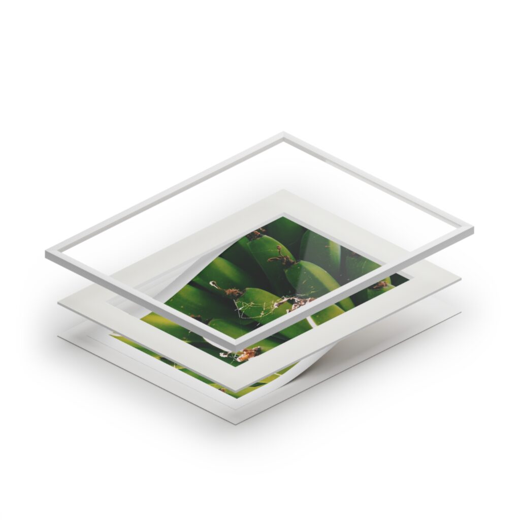 Arranged Image 08