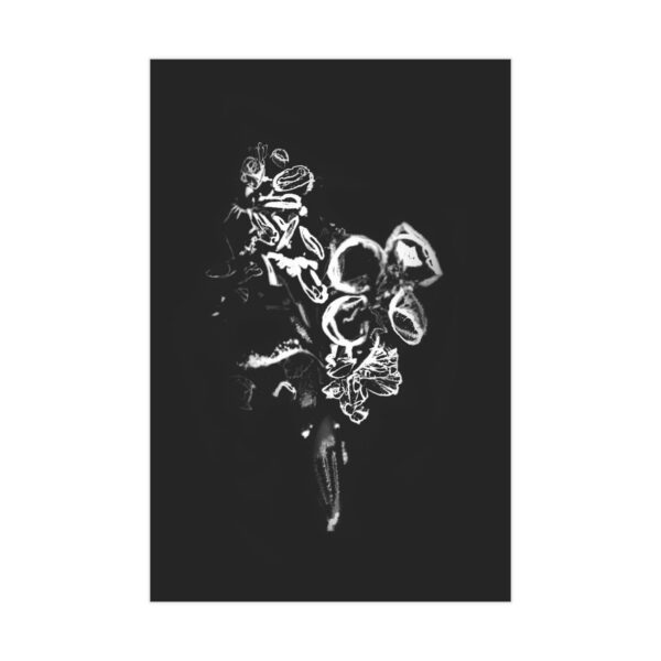Electrography Flowers Unframed Prints - Image 22