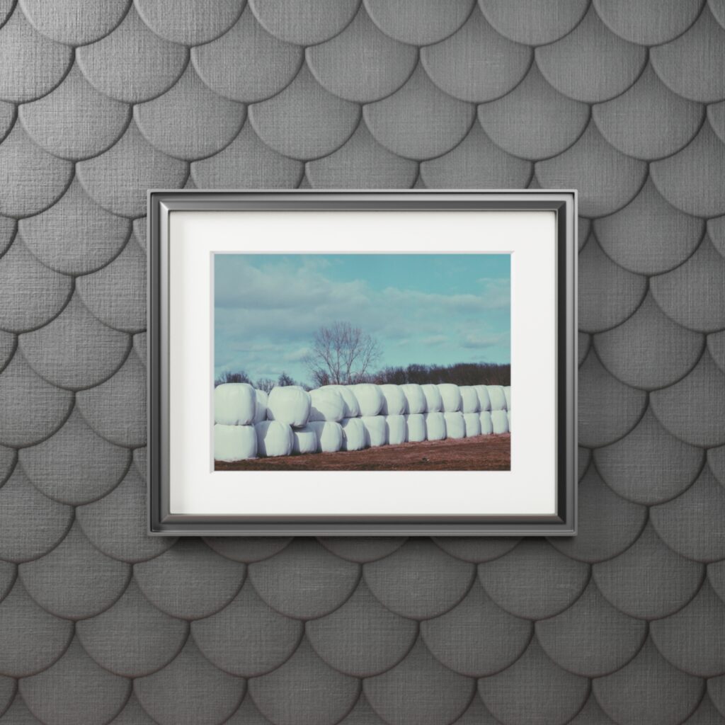 Arranged Image 05