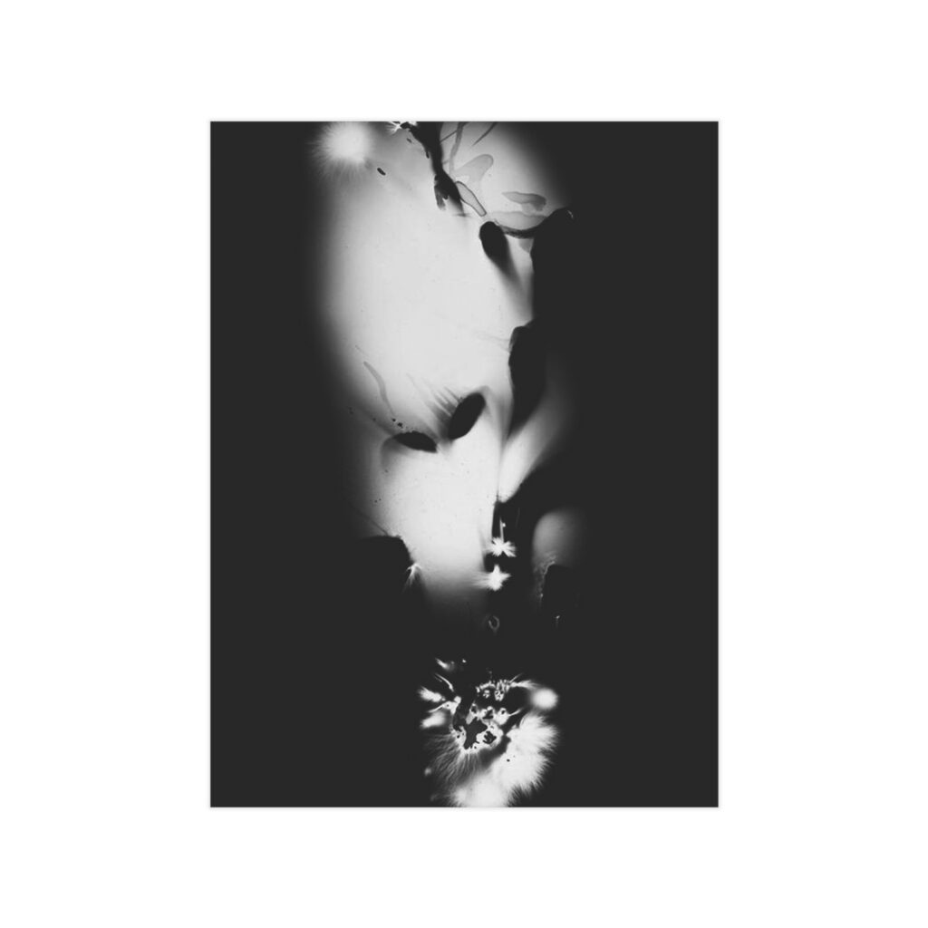 Electrography Kelp Unframed Prints