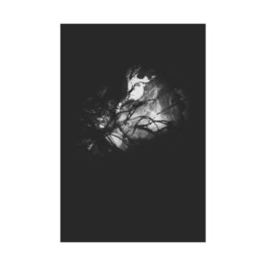 Electrography Seaweed Unframed Prints - Image 22