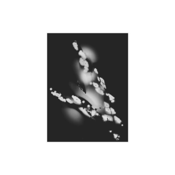 Electrography Asaparagus Unframed Prints - Image 25