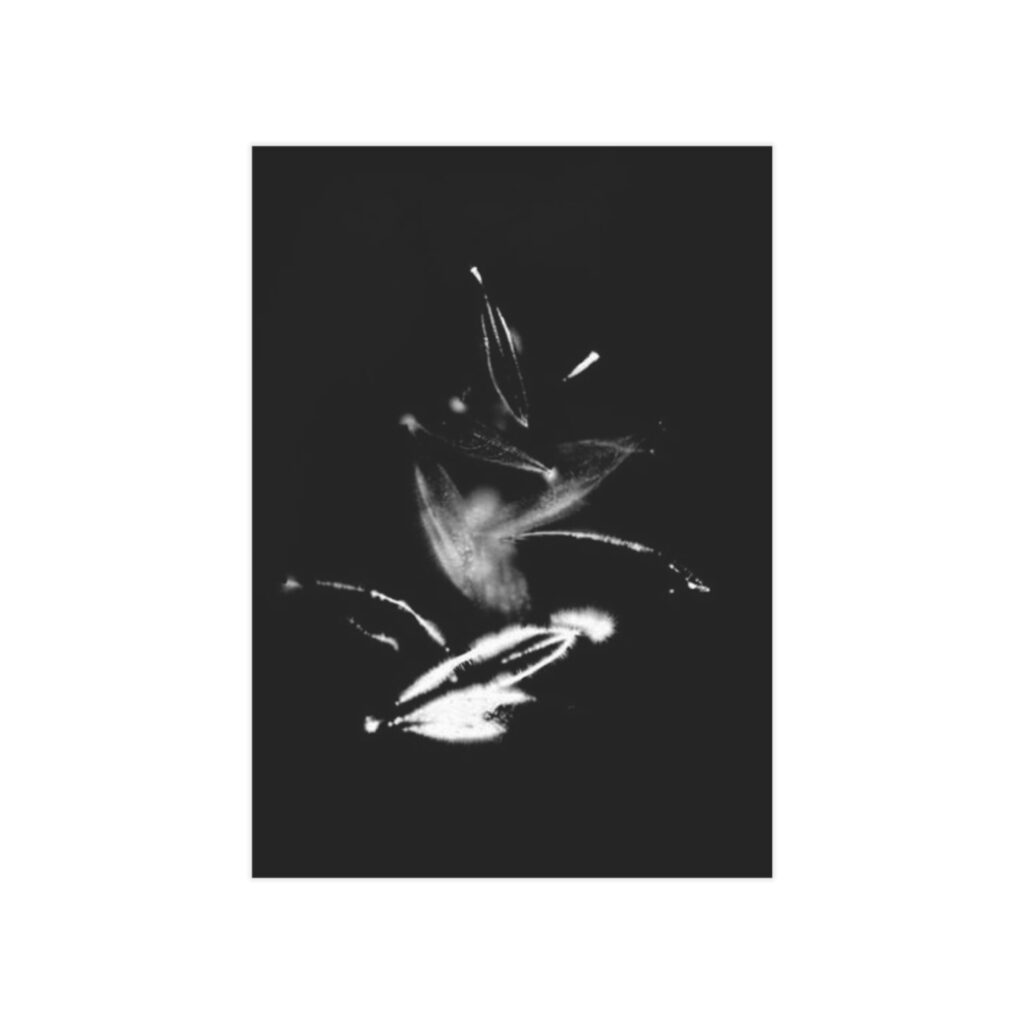 Electrography Olivio Unframed Prints