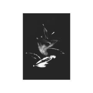 Electrography Olivio Unframed Prints - Image 13