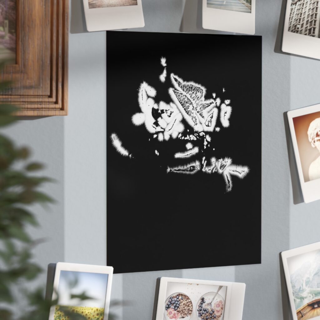 Electrography Rose Unframed Prints