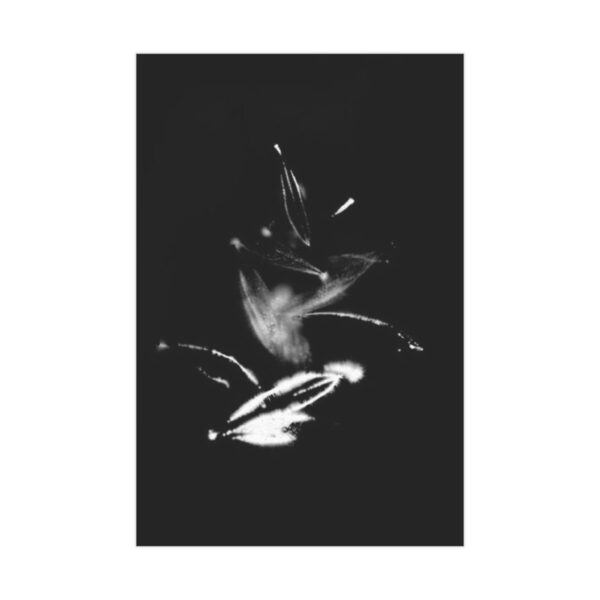 Electrography Olivio Unframed Prints - Image 22