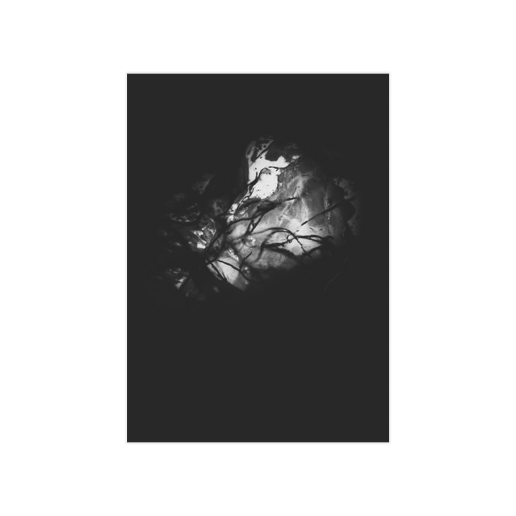 Electrography Seaweed Unframed Prints