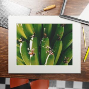 Arranged Image 08 - Image 8