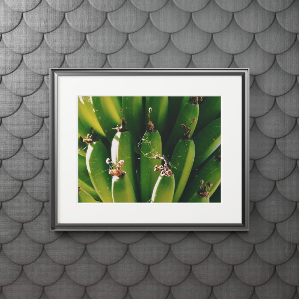 Arranged Image 08
