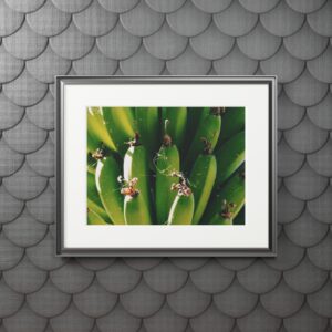 Arranged Image 08 - Image 7