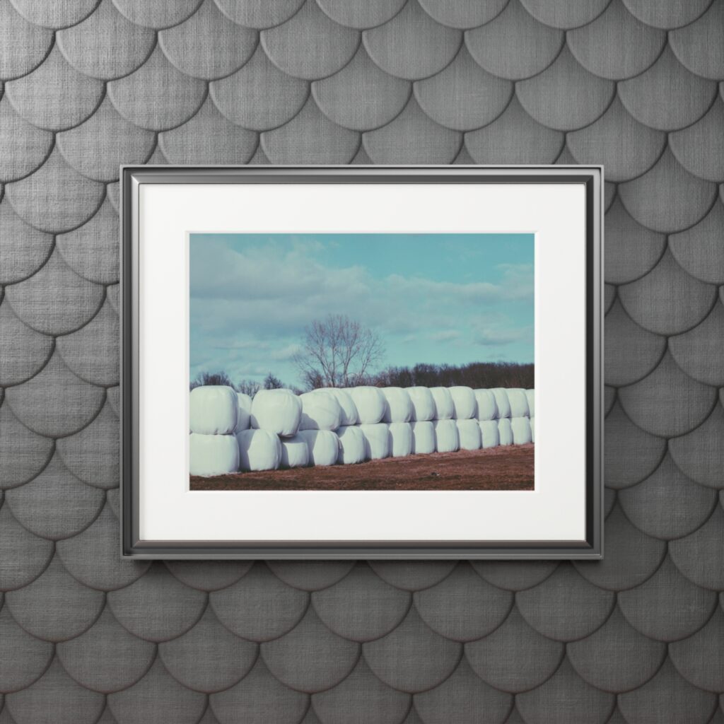 Arranged Image 05