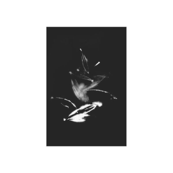 Electrography Olivio Unframed Prints - Image 34
