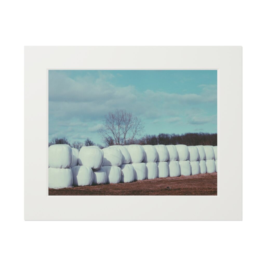 Arranged Image 05