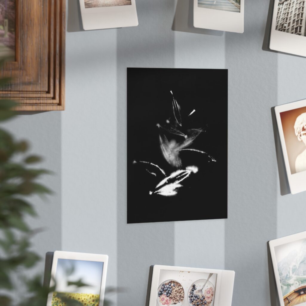 Electrography Olivio Unframed Prints