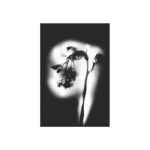 Electrography Bluebells Unframed Prints - Image 27