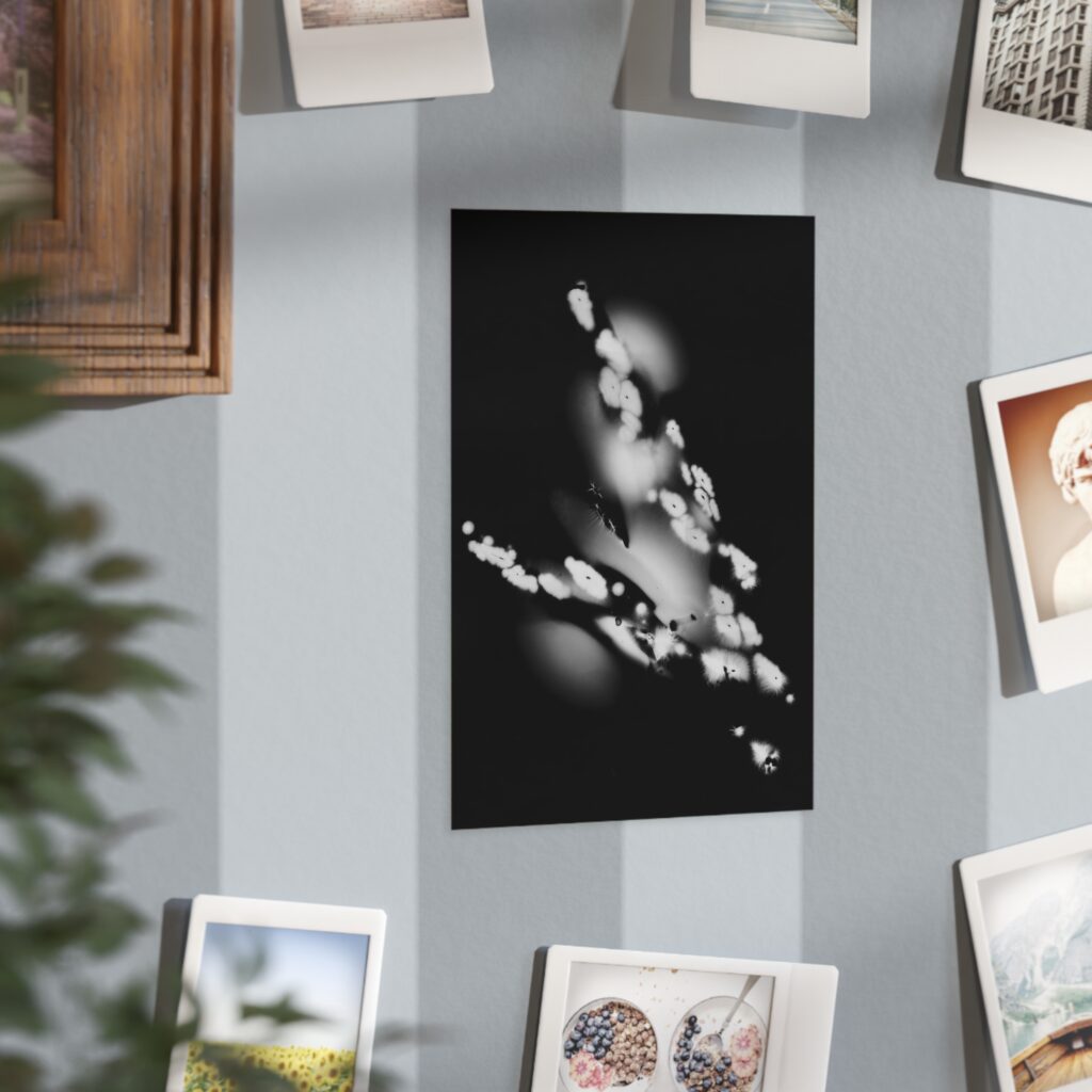 Electrography Asaparagus Unframed Prints