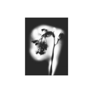 Electrography Bluebells Unframed Prints - Image 24