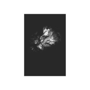 Electrography Seaweed Unframed Prints - Image 28