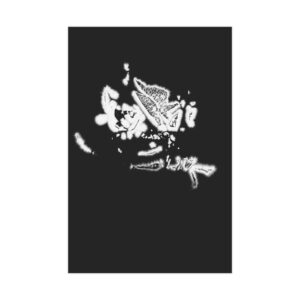 Electrography Rose Unframed Prints - Image 10