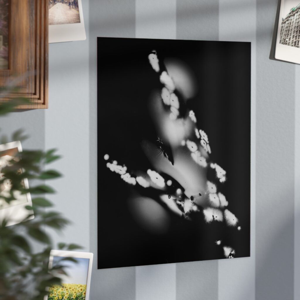 Electrography Asaparagus Unframed Prints