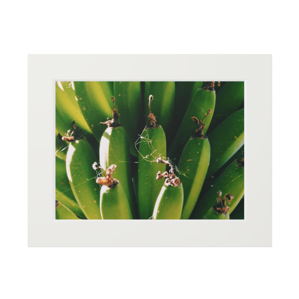 Arranged Image 08