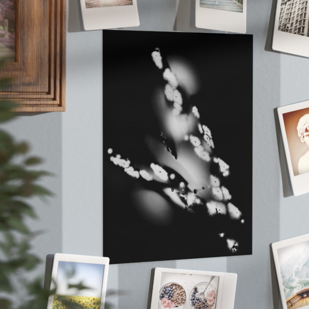 Electrography Asaparagus Unframed Prints